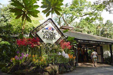 Entradas para el Jardín Nacional de Orquídeas de Singapur